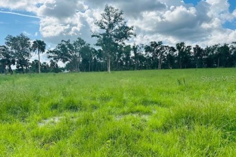 Land in Cross City, Florida № 1535060 - photo 3