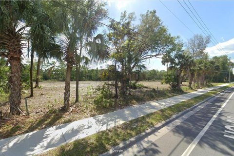 Land in Cross City, Florida № 1535060 - photo 8