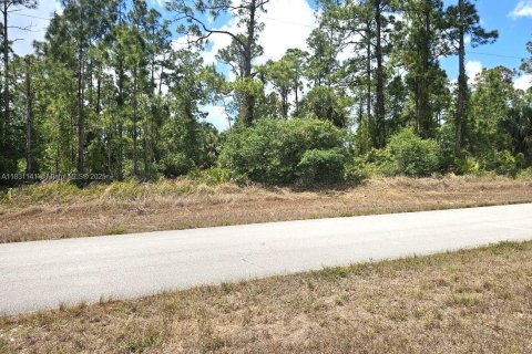 Land in Lehigh Acres, Florida № 1811834 - photo 1