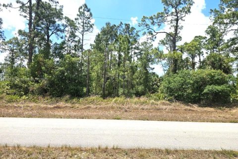 Land in Lehigh Acres, Florida № 1811834 - photo 5