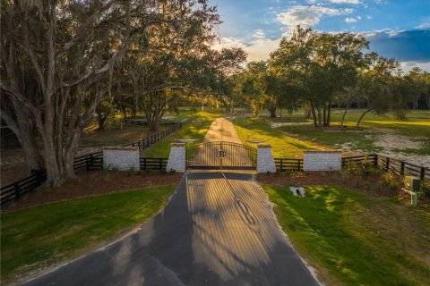Land in Newberry, Florida № 2107505 - photo 3