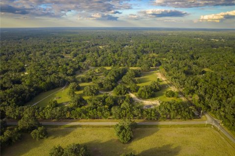 Land in Newberry, Florida № 2107505 - photo 5