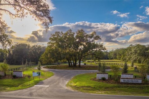 Land in Newberry, Florida № 2107505 - photo 4