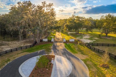 Land in Newberry, Florida № 2107505 - photo 2