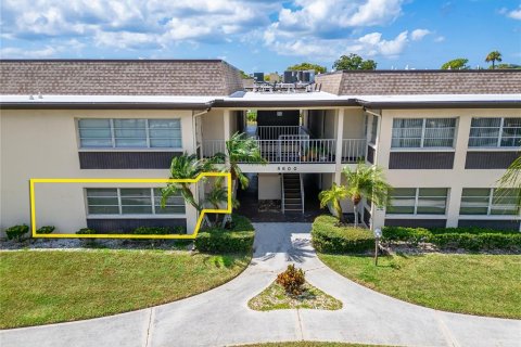 Condo in New Port Richey, Florida, 1 bedroom  № 1373731 - photo 3