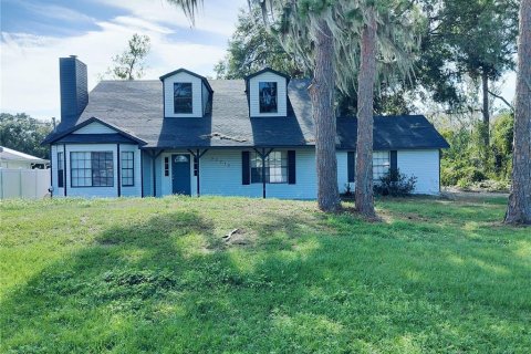House in Leesburg, Florida 3 bedrooms, 222.5 sq.m. № 1616697 - photo 1
