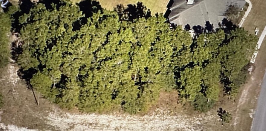 Land in Freeport, Florida № 558994