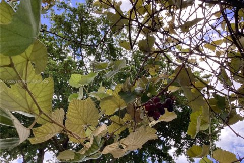 House in Hialeah, Florida 4 bedrooms, 166.39 sq.m. № 2013163 - photo 18