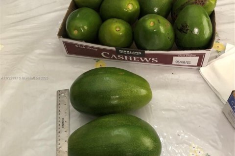 House in Hialeah, Florida 4 bedrooms, 166.39 sq.m. № 2013163 - photo 15