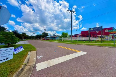 Commercial property in Tampa, Florida 111.48 sq.m. № 2354241 - photo 4