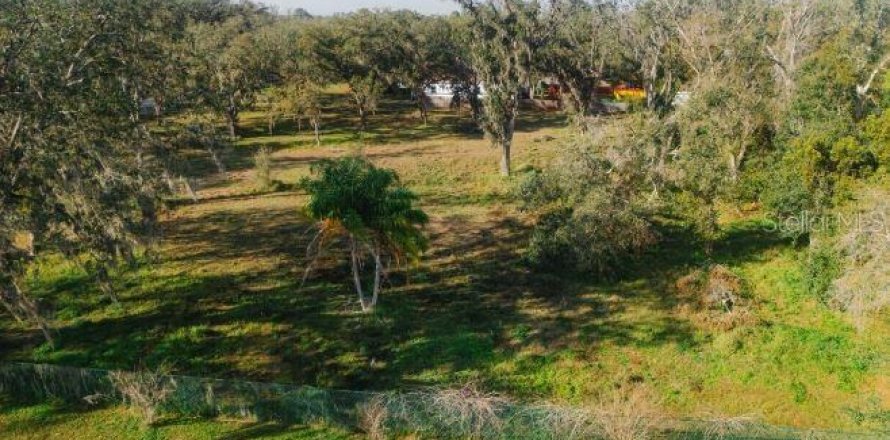 Terreno en Tampa, Florida № 1806687