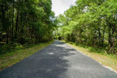 Terreno en venta en Tampa, Florida № 1806687 - foto 6
