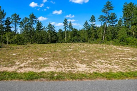 Land in Ocala, Florida № 2210947
