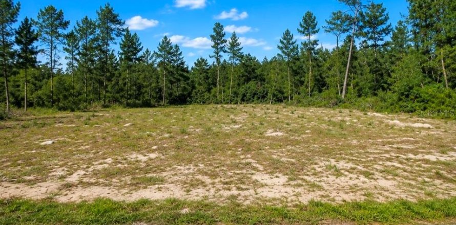 Terrain à Ocala, Floride № 2210947