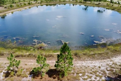 Купить земельный участок в Индиан Лейк Эстейтс, Флорида № 1736629 - фото 13