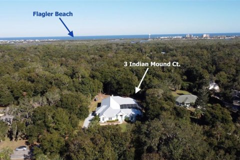 Casa en venta en Flagler Beach, Florida, 4 dormitorios, 331.48 m2 № 1733957 - foto 2