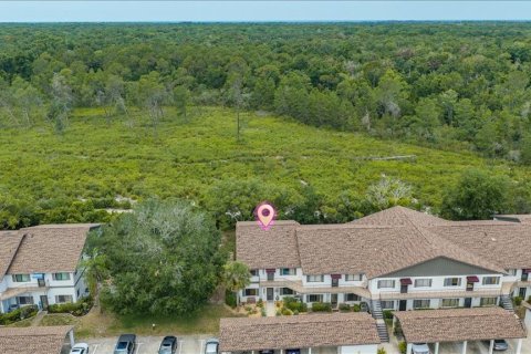 Condo in Weeki Wachee, Florida, 2 bedrooms  № 2195653 - photo 3