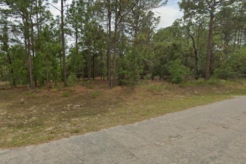Land in Citrus Springs, Florida № 2161997 - photo 2