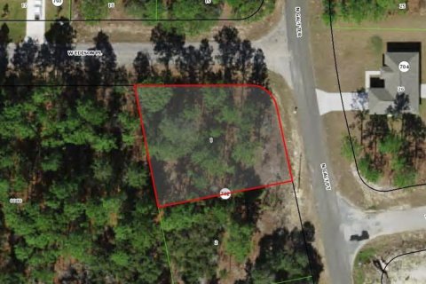 Land in Citrus Springs, Florida № 2161997 - photo 3