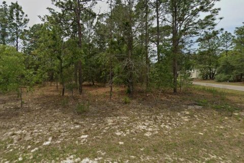 Land in Citrus Springs, Florida № 2161997