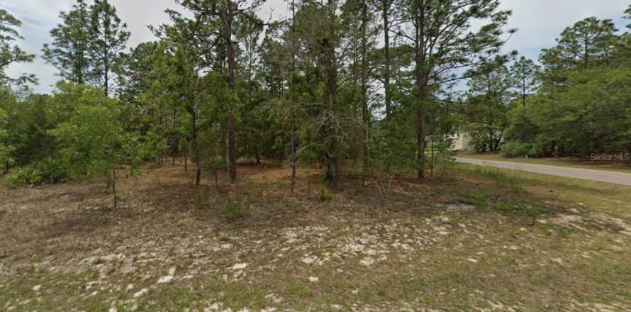 Land in Citrus Springs, Florida № 2161997