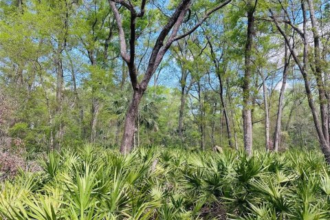 Terreno en venta en Chiefland, Florida № 1613481 - foto 6