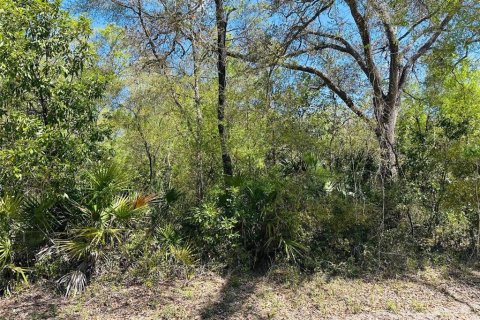 Terreno en venta en Chiefland, Florida № 1613481 - foto 5