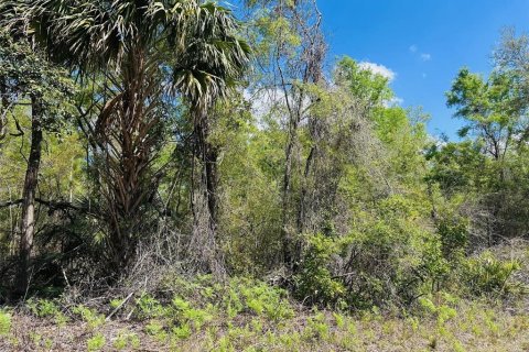 Terreno en venta en Chiefland, Florida № 1613481 - foto 11