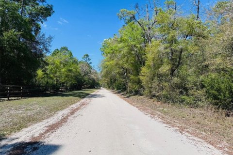 Terreno en venta en Chiefland, Florida № 1613481 - foto 4