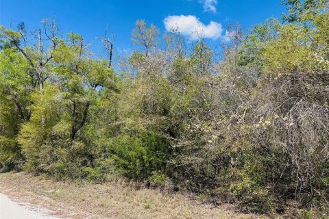 Terreno en venta en Chiefland, Florida № 1613481 - foto 3