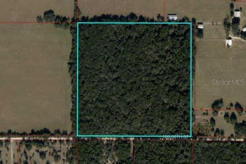 Terreno en venta en Chiefland, Florida № 1613481 - foto 2
