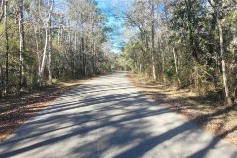 Land in Sopchoppy, Florida № 2148211 - photo 6