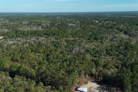 Land in Sopchoppy, Florida № 2148211 - photo 8