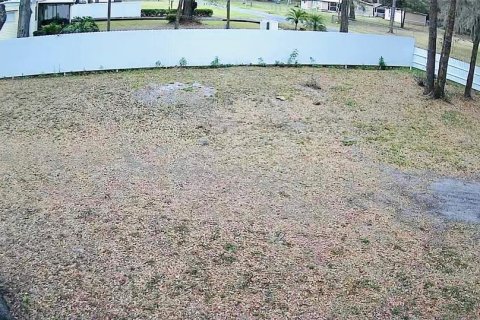 Terreno en venta en Seffner, Florida № 1597422 - foto 4