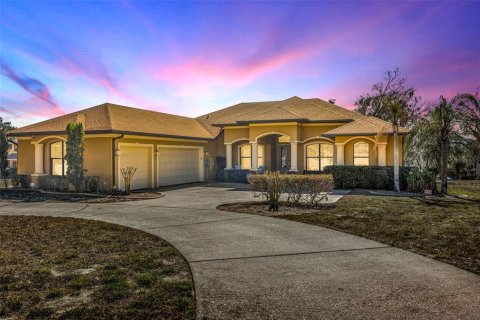 Villa ou maison à Riverview, Floride 4 chambres, 316.89 m2 № 2139030