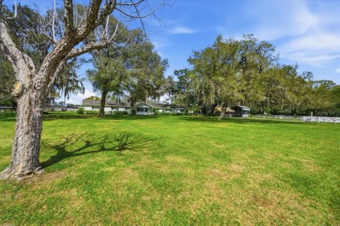 House in Odessa, Florida 3 bedrooms, 324.32 sq.m. № 2330610 - photo 5