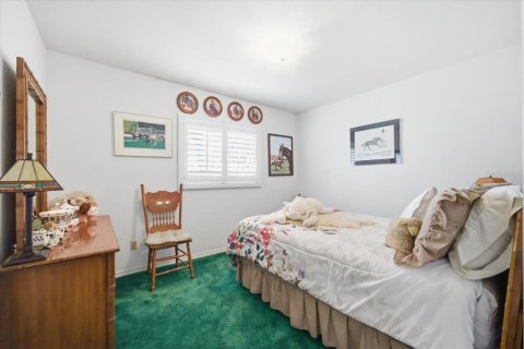 House in Odessa, Florida 3 bedrooms, 324.32 sq.m. № 2330610 - photo 30
