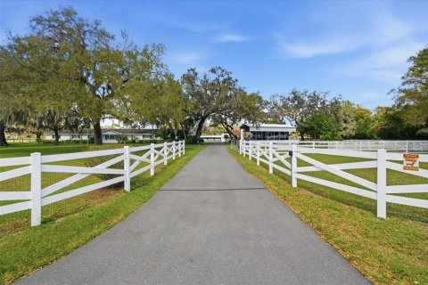 House in Odessa, Florida 3 bedrooms, 324.32 sq.m. № 2330610 - photo 4