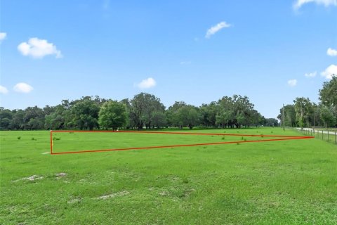Terrain à vendre à Bushnell, Floride № 2223634 - photo 8