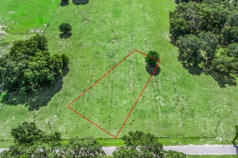 Terrain à vendre à Bushnell, Floride № 2223634 - photo 2