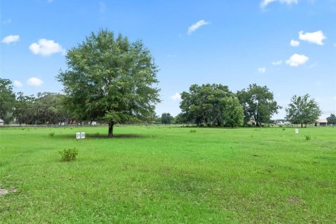 Terreno en Bushnell, Florida № 2223634