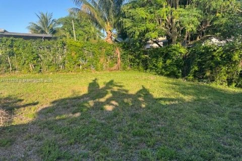 Villa ou maison à louer à Miami, Floride: 2 chambres, 78.97 m2 № 1982550 - photo 18
