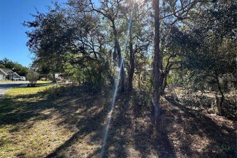 Land in Homosassa, Florida № 2165530 - photo 7