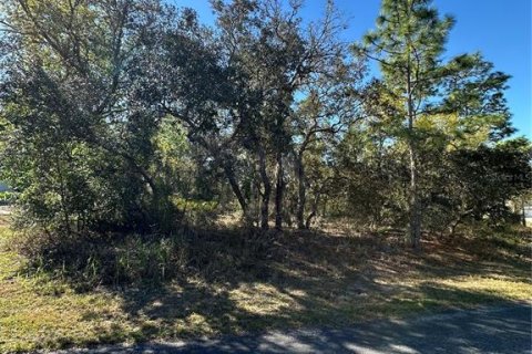 Land in Homosassa, Florida № 2165530 - photo 4