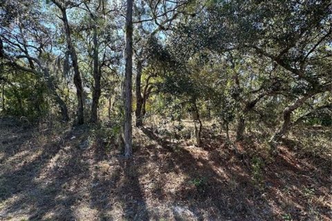 Land in Homosassa, Florida № 2165530 - photo 6