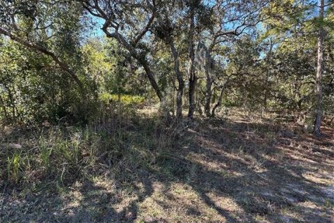 Land in Homosassa, Florida № 2165530 - photo 2