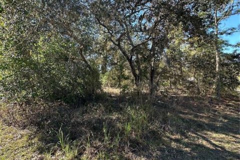 Land in Homosassa, Florida № 2165530 - photo 8