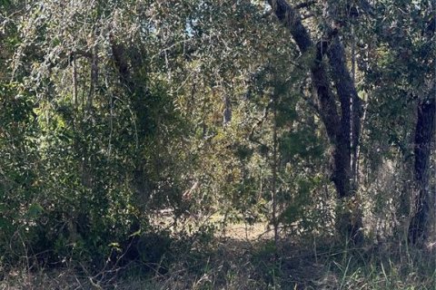 Land in Homosassa, Florida № 2165530