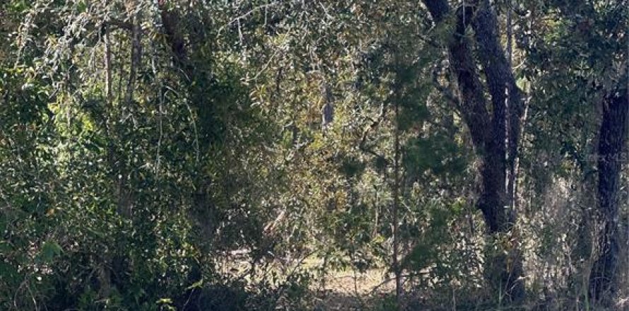 Land in Homosassa, Florida № 2165530