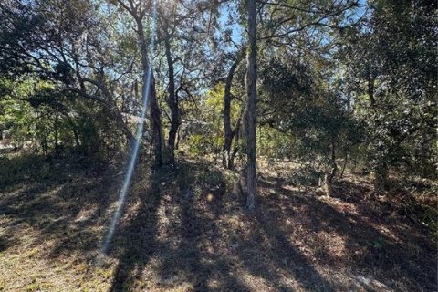 Land in Homosassa, Florida № 2165530 - photo 5
